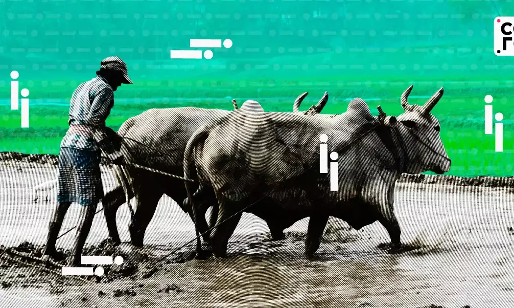CRISIL Predicts Growth Relief From Monsoons, Scope For Rate Cuts