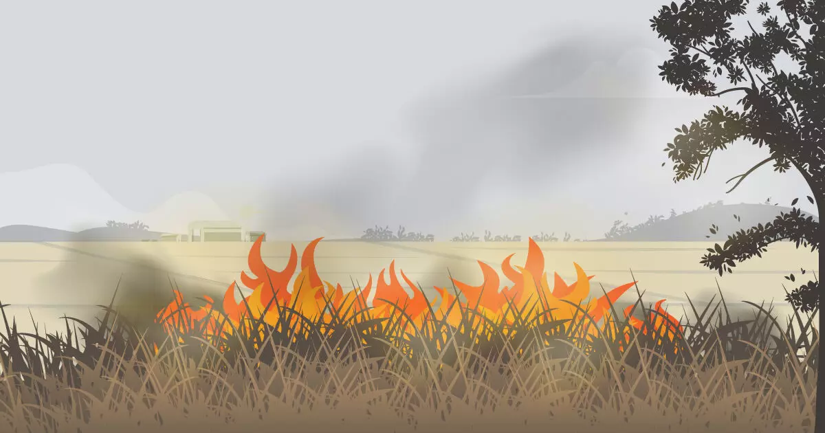 India’s Stubble Burning Crisis Needs A Supply Chain Fix India’s Stubble Burning Crisis Needs A Supply Chain Fix