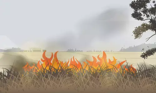 India’s Stubble Burning Crisis Needs A Supply Chain Fix India’s Stubble Burning Crisis Needs A Supply Chain Fix