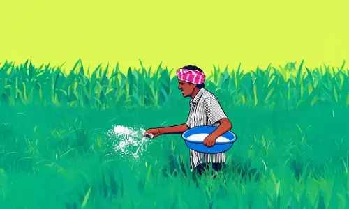 Indias Urea Expansion Risks Worsening An Old Problem Indias Urea Expansion Risks Worsening An Old Problem