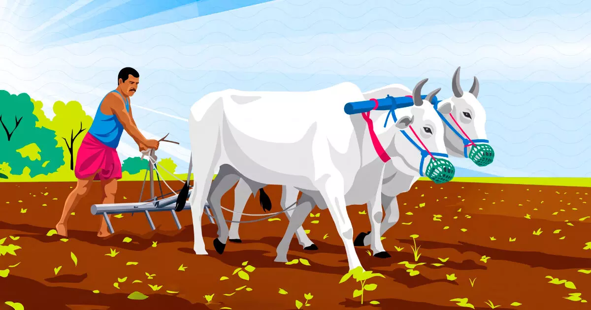 Bad Monsoon, No Safety Net: India’s Farmers Are Running Out Of Relief Bad Monsoon, No Safety Net: India’s Farmers Are Running Out Of Relief